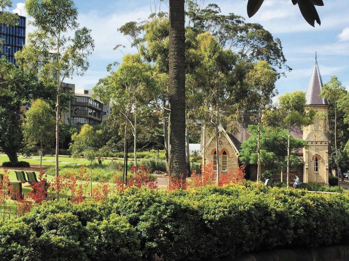 Improvements to Gadigal Green Photo: Supplied