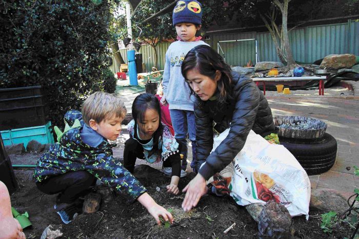 Mulching newly planted seedlings in the veggie patch Photo: Lyn Turnbull