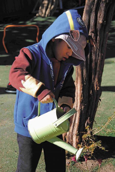 Watering kangaroo paw Photo: Lyn Turnbull