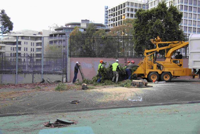 Clearing site for student housing Photo: Lyn Turnbull