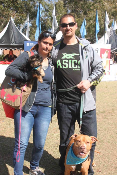 Dogs of all sizes Photo: Peter Murphy