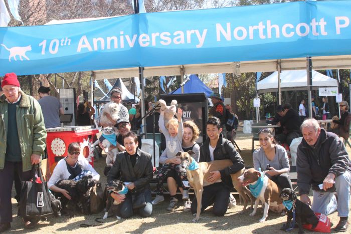 Lord Mayor Clover Moore and her dog enjoying the day with other pet owners Photo: Peter Murphy