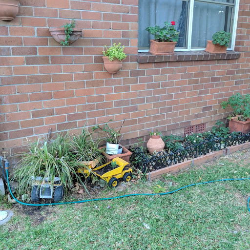 Tonka trucks recycled as planters. Photo: Fiona Poeder