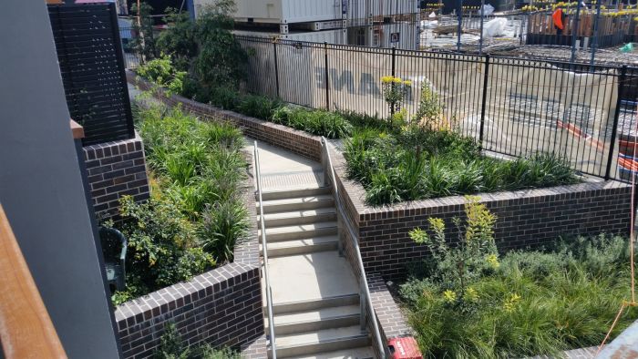 View from public housing balcony of landscaping adjoing next building site. Photo: Denis Doherty