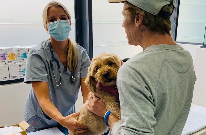 Vets bring hope with free pop-up clinic for pets of rough sleepers