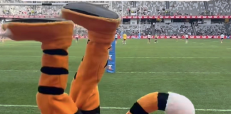 Tigers turn tables upside down