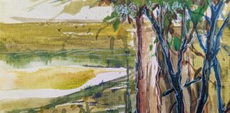 OUT & ABOUT – October 2026