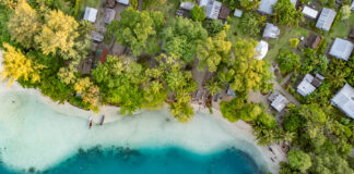 Not all gloom: how positive human action can support natural ecosystems