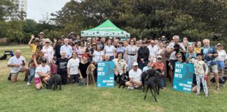 Building a greener Inner West: hopes and hurdles